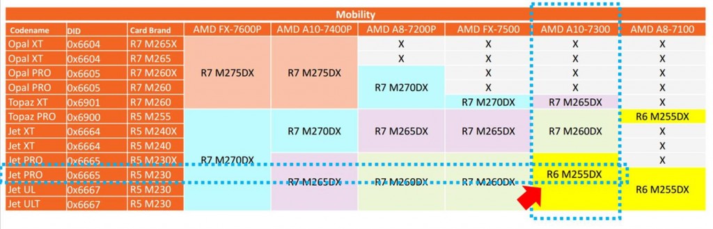 AMD Dual Graphic
